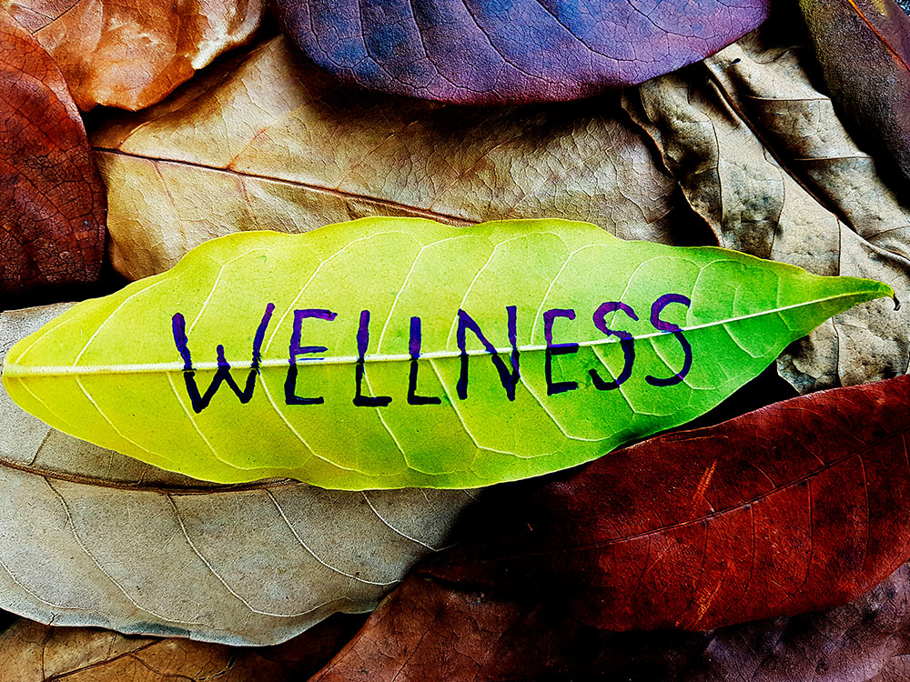 el wellness en el sector salud