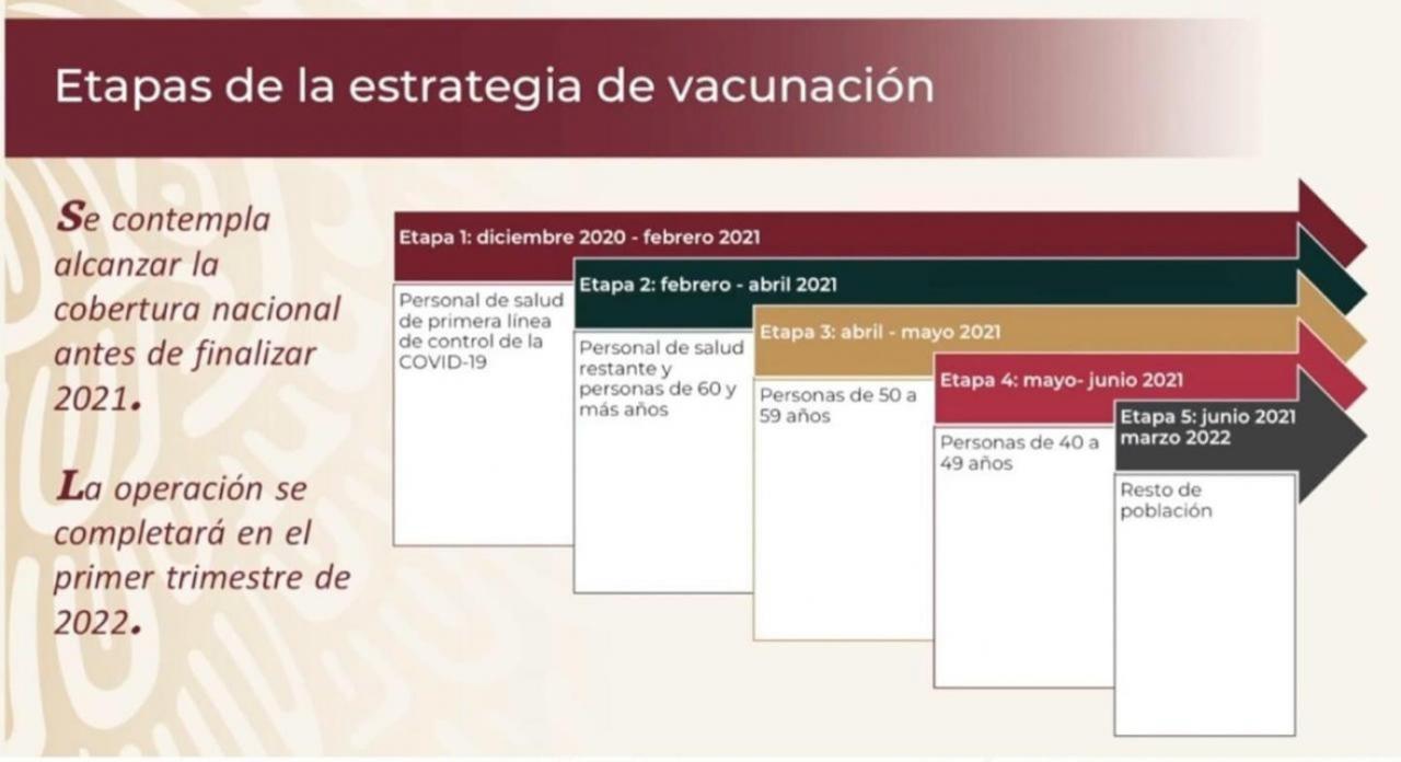 estrategia de vacunacion covid 19