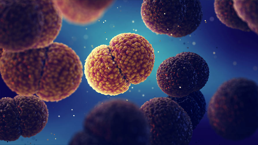 meningitis