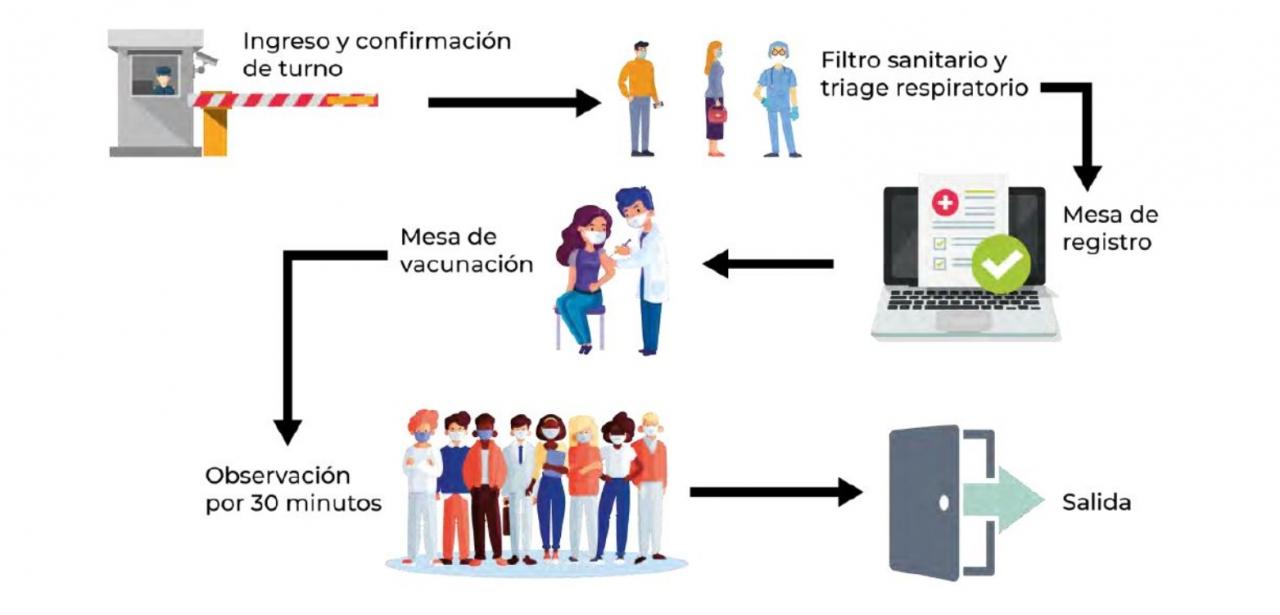 proceso vacunación